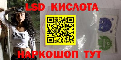 стафф Донской
