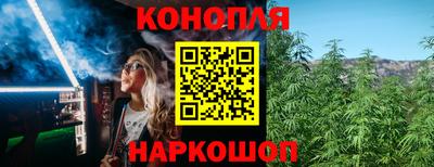 стафф Донской