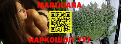 стафф Донской