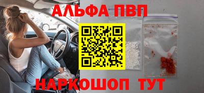 стафф Донской