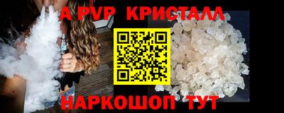 стафф Донской