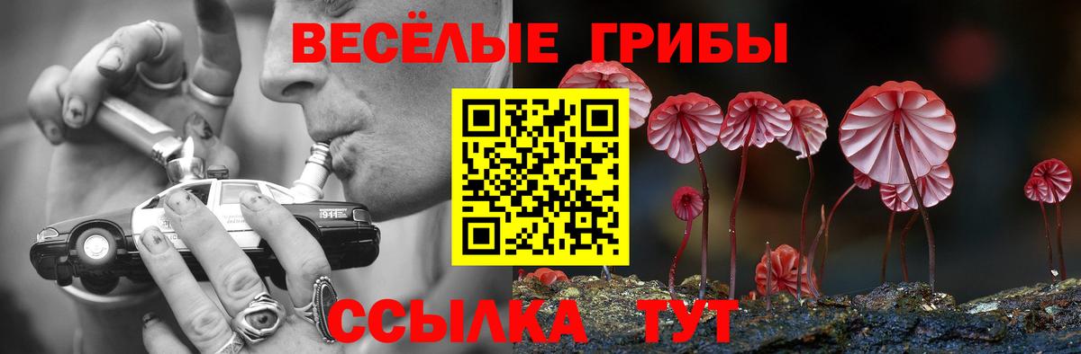 Псилоцибиновые грибы Cubensis Буйнакск